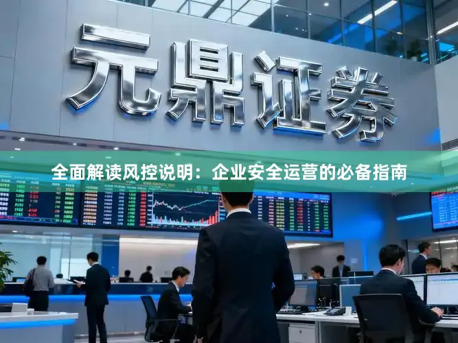 全面解读风控说明:企业安全运营的必备指南