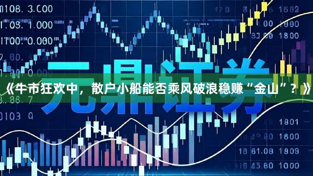 《牛市狂欢中，散户小船能否乘风破浪稳赚“金山”？》