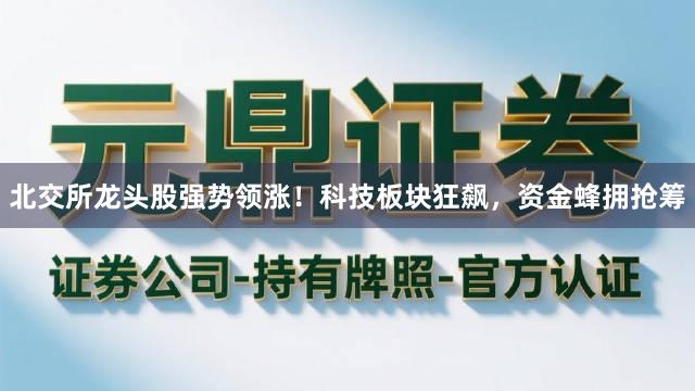 北交所龙头股强势领涨！科技板块狂飙，资金蜂拥抢筹