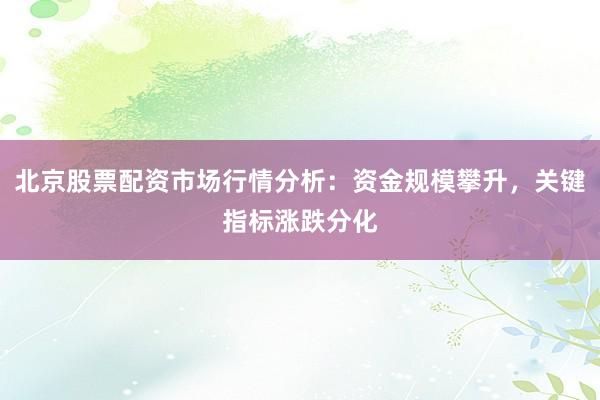 北京股票配资市场行情分析：资金规模攀升，关键指标涨跌分化