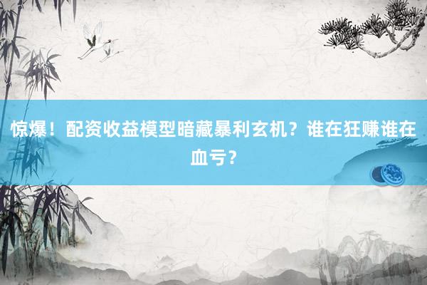 惊爆！配资收益模型暗藏暴利玄机？谁在狂赚谁在血亏？