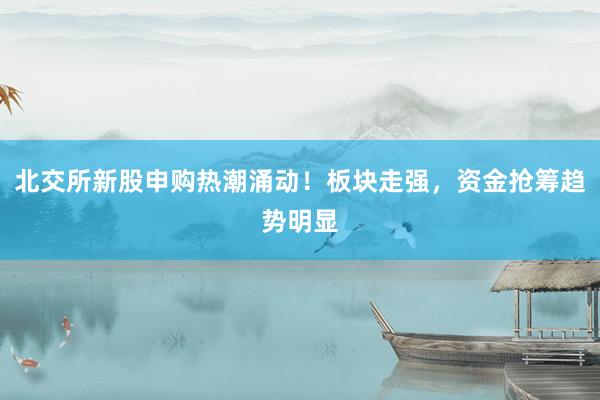 北交所新股申购热潮涌动！板块走强，资金抢筹趋势明显