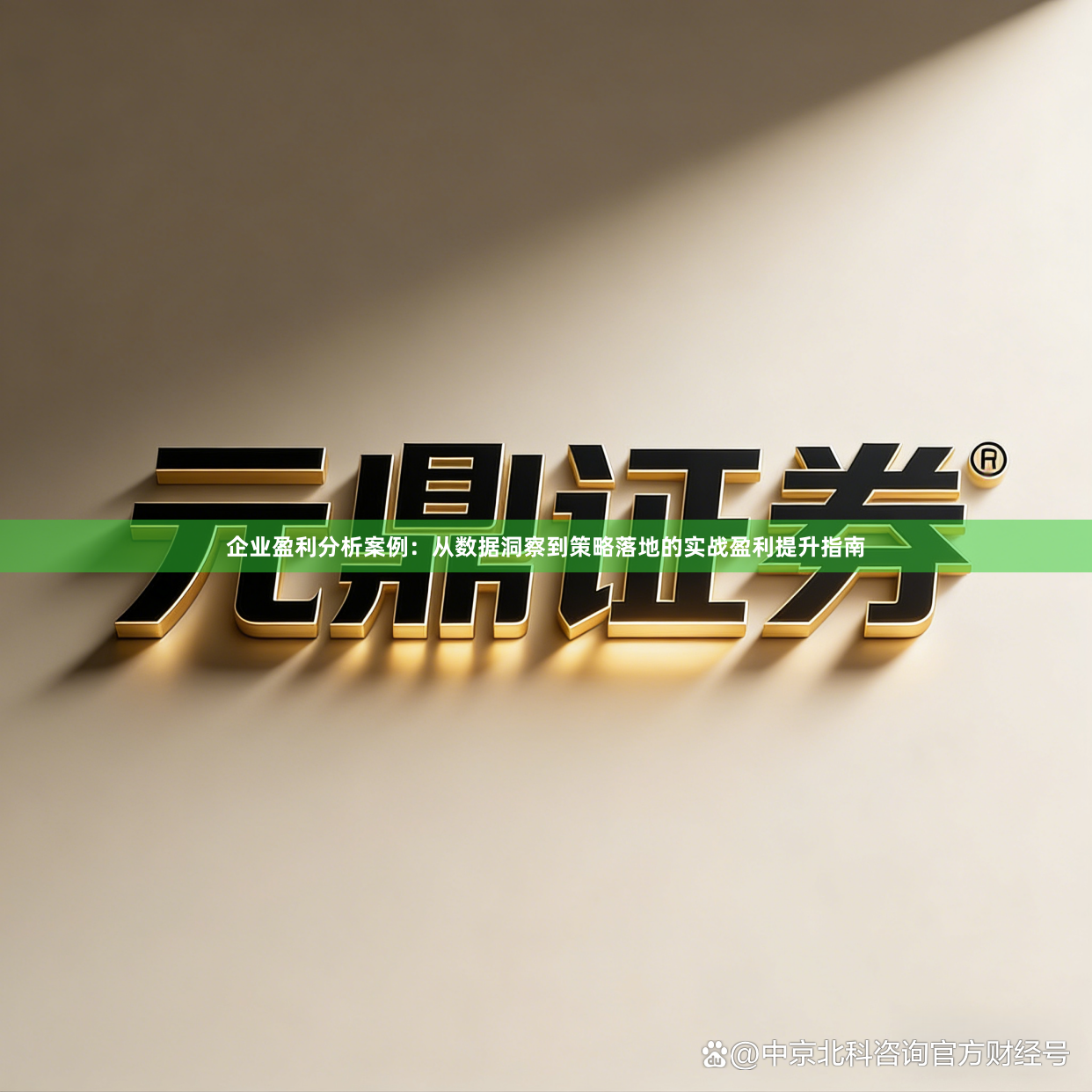 企业盈利分析案例：从数据洞察到策略落地的实战盈利提升指南